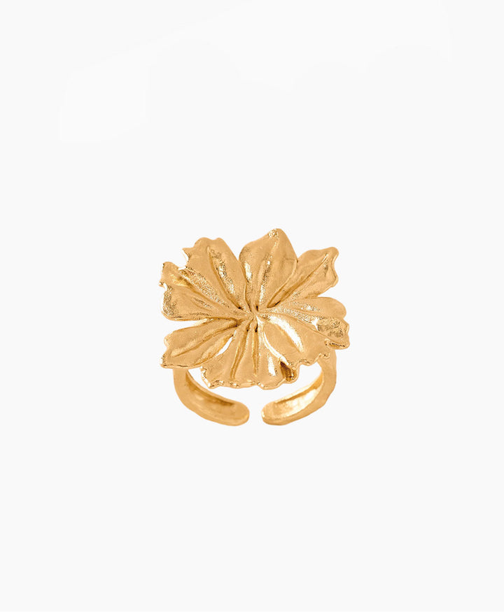 Adonis Fingerring vergoldet