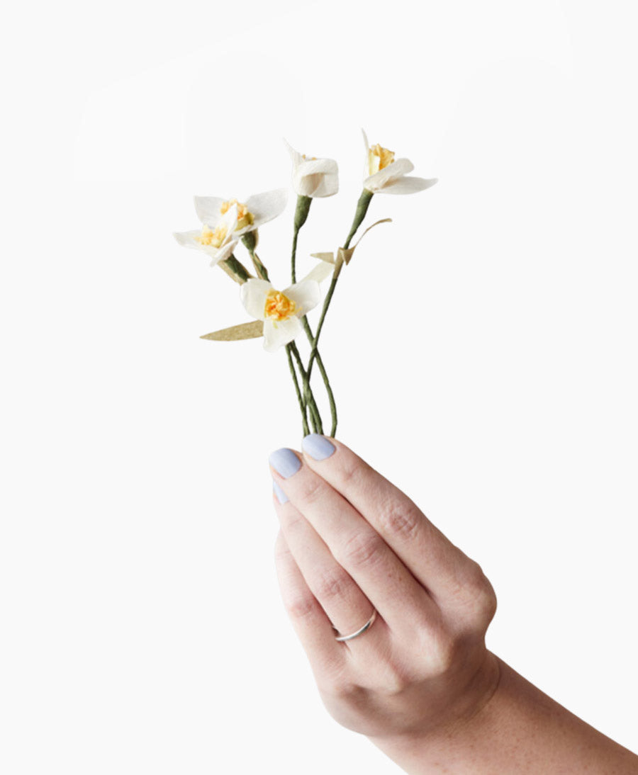 Papierblume Schneeglöckchen Galanthus Snowdrop x5
