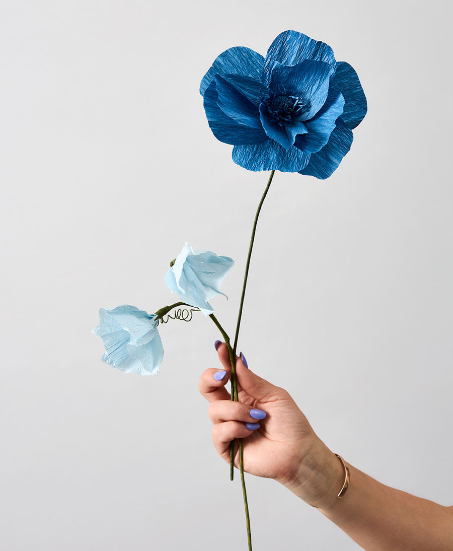 Papierblume Scheinmohn / Himalaya Poppy - Blau