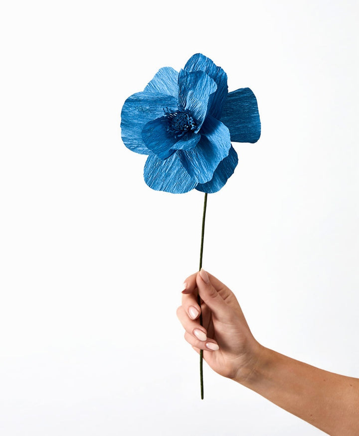 Papierblume Scheinmohn / Himalaya Poppy - Blau