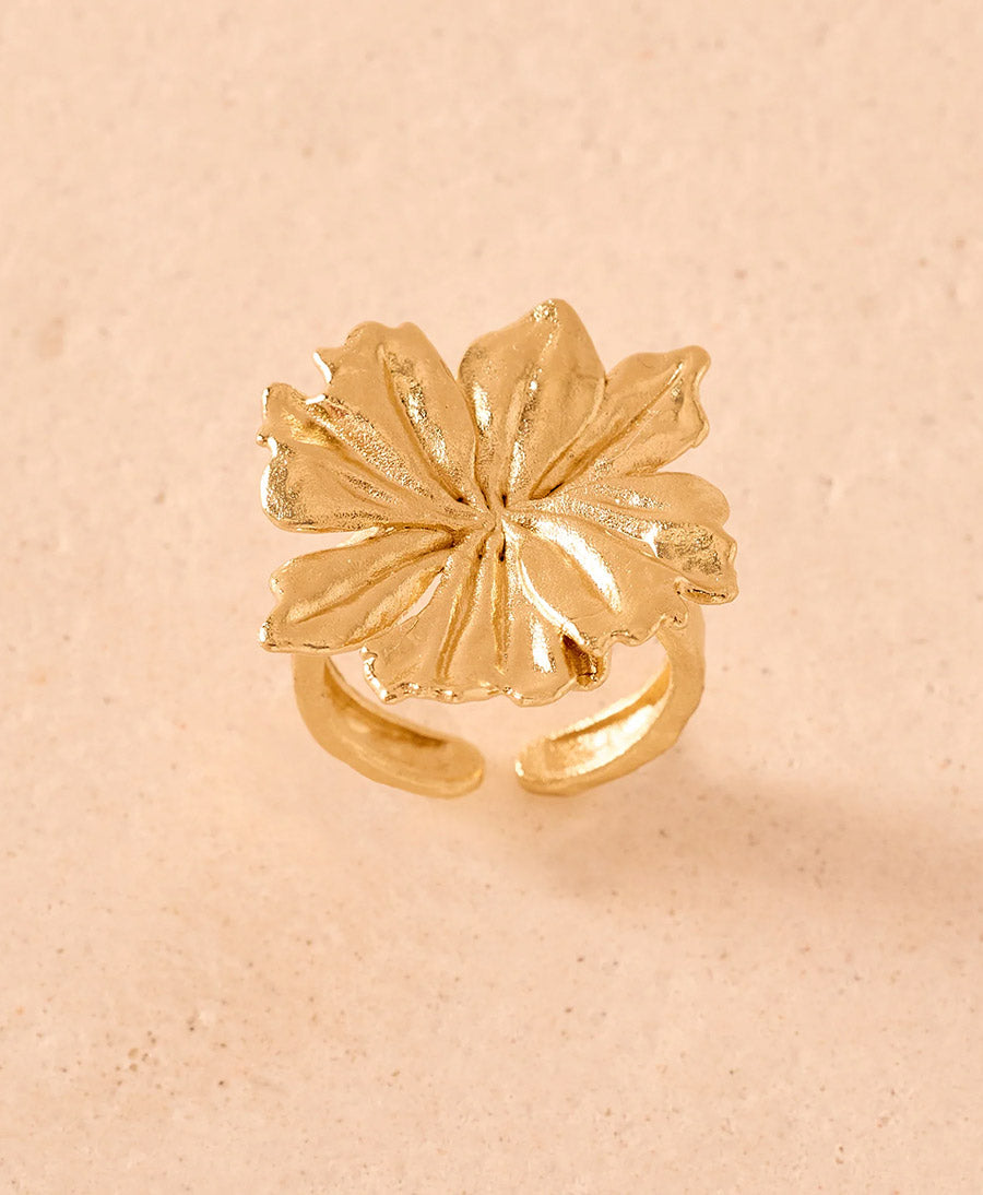Adonis Fingerring vergoldet