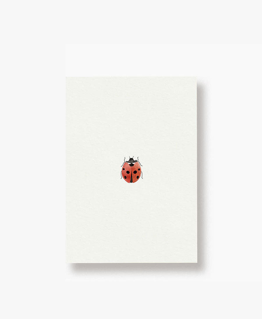 Postkarte "Marienkäfer"