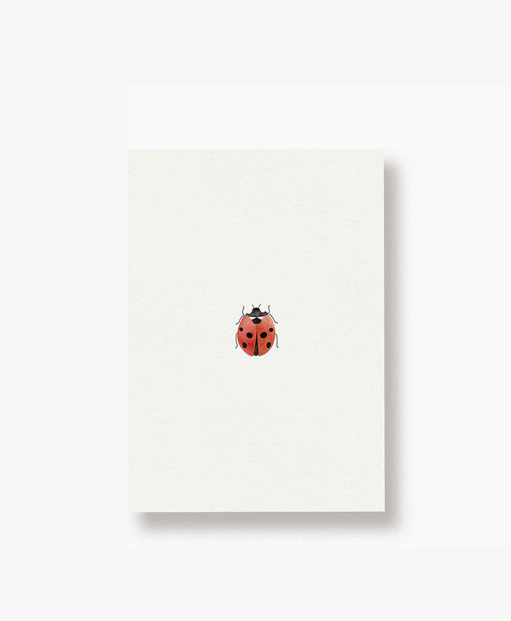 Postkarte "Marienkäfer"