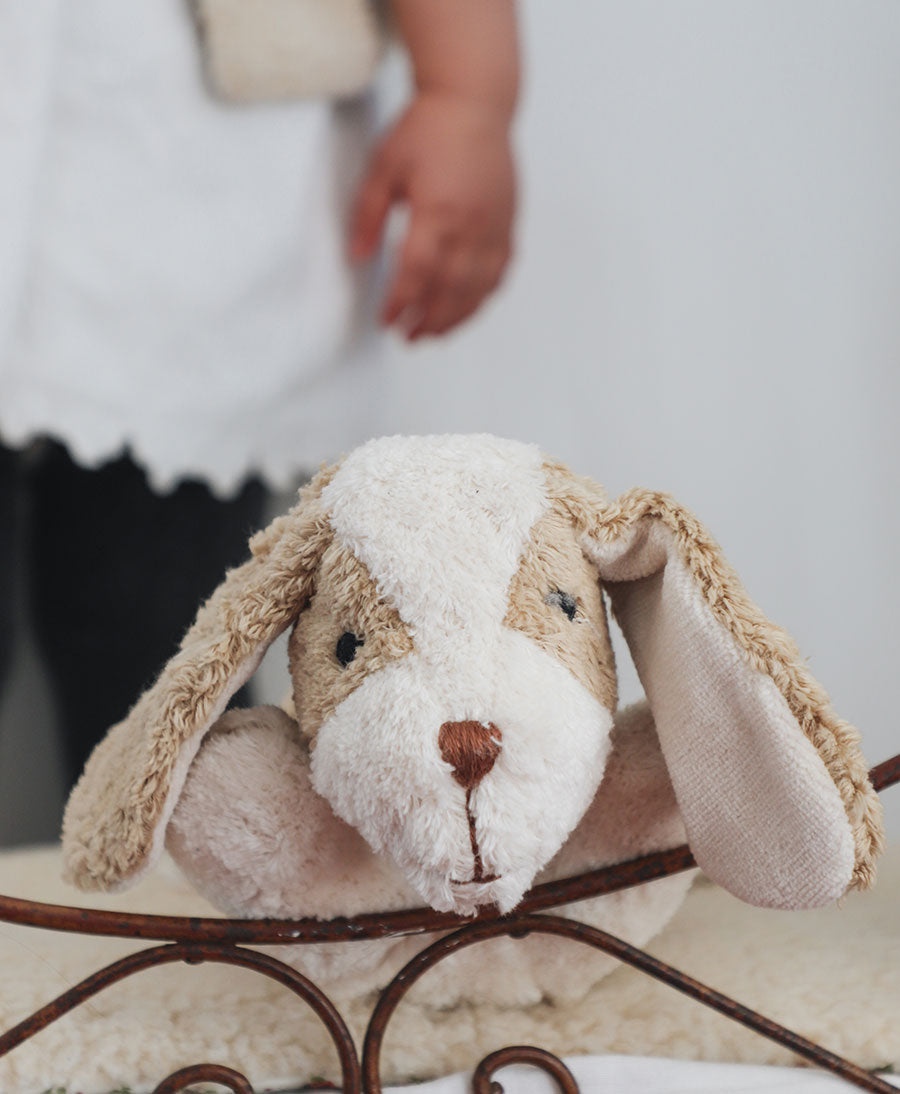 Hund (klein) Kuscheltier &amp; Wärmekissen - Beige