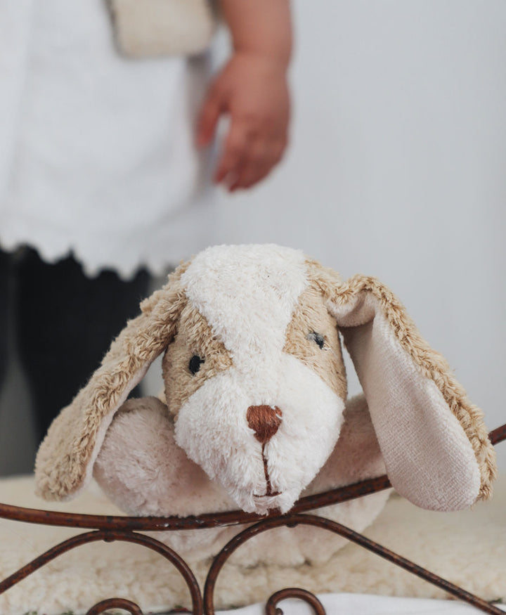 Hund (klein) Kuscheltier &amp; Wärmekissen - Beige