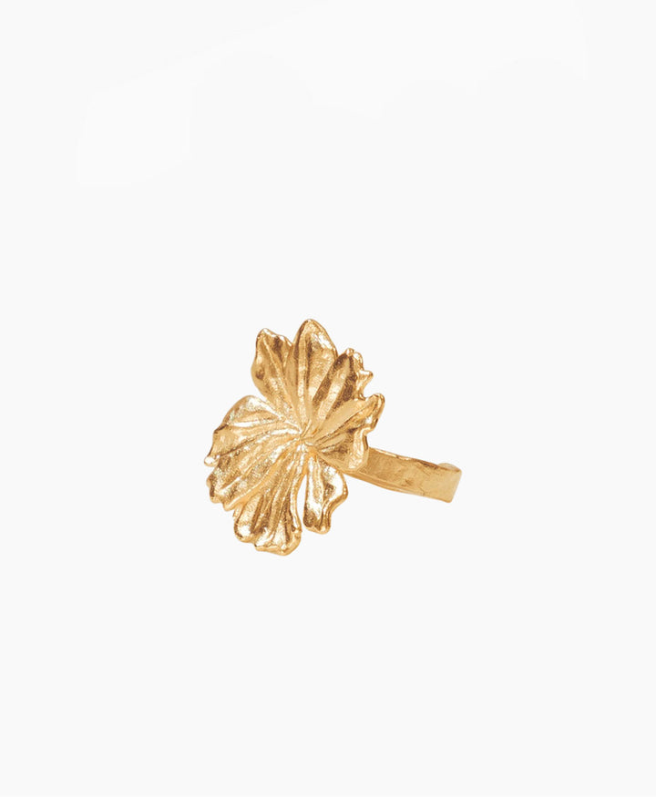 Adonis Fingerring vergoldet
