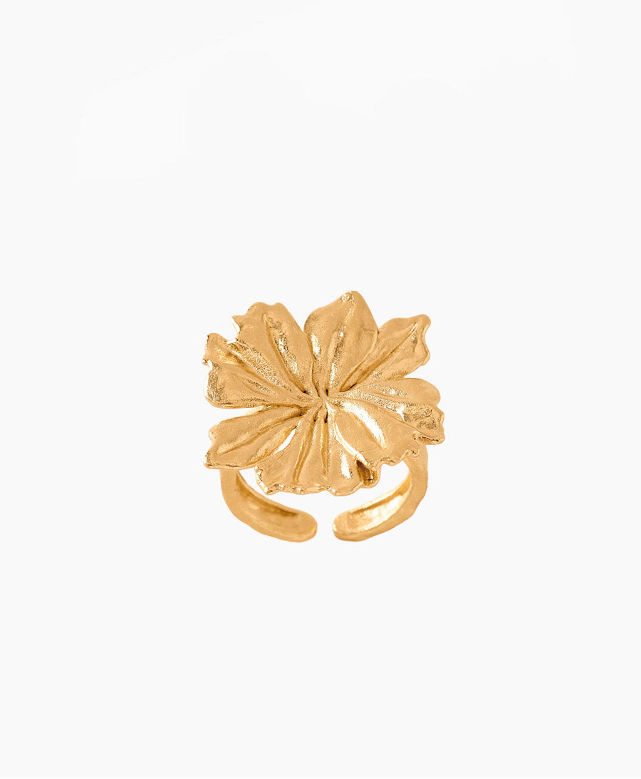 Adonis Fingerring vergoldet