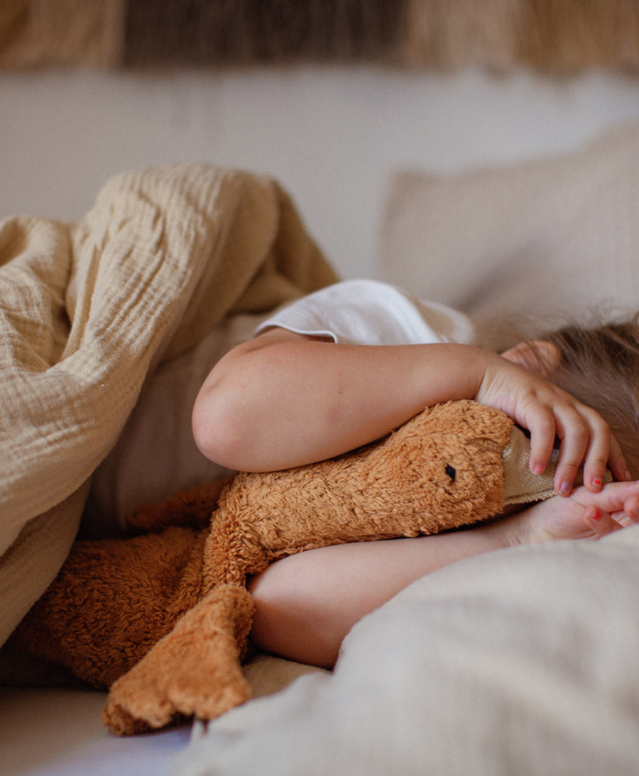 Gans (klein) Kuscheltier & Wärmekissen - Rostrot