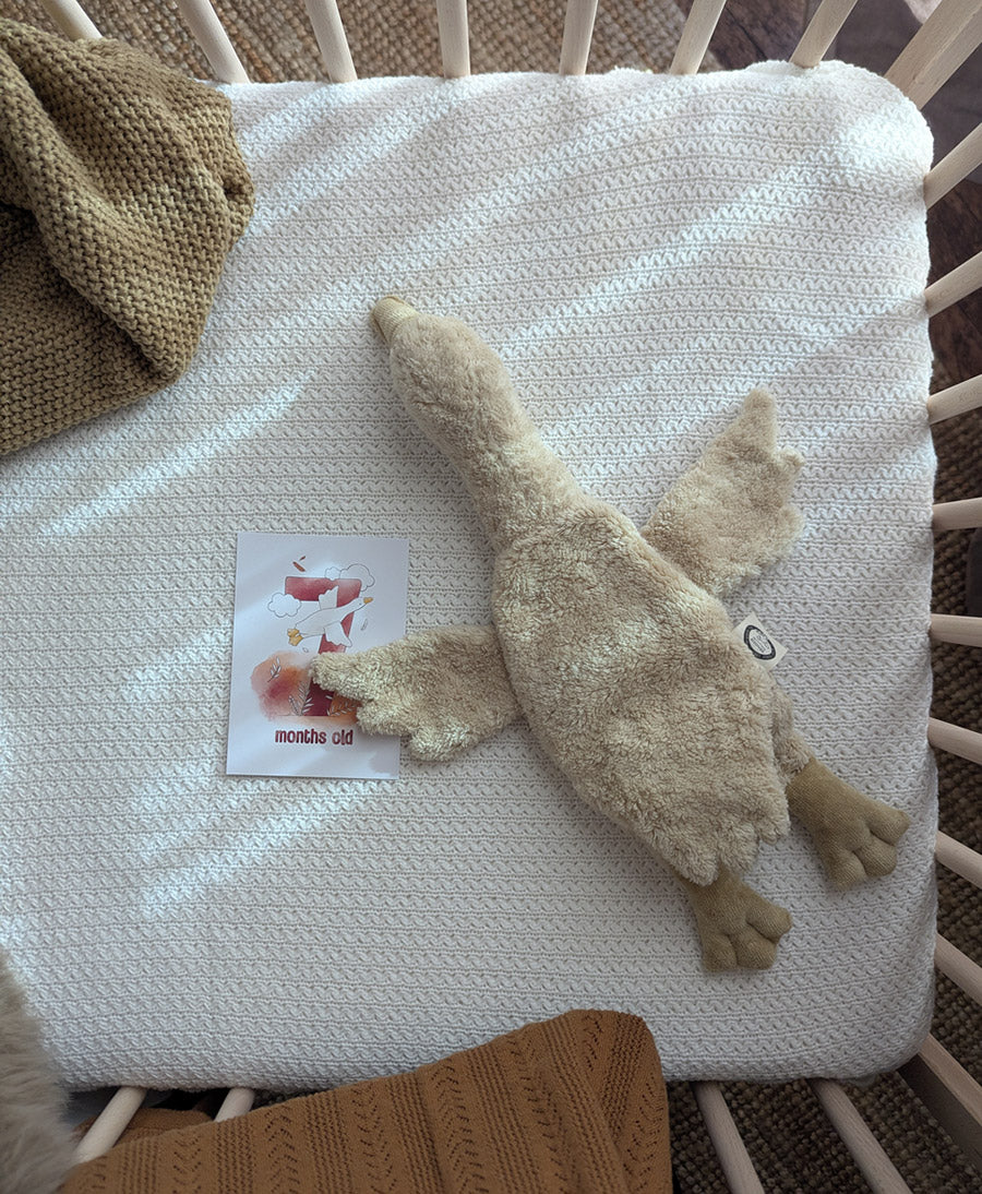 Gans (klein) Kuscheltier & Wärmekissen - Beige