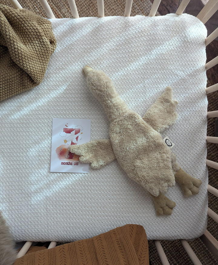 Gans (klein) Kuscheltier & Wärmekissen - Beige