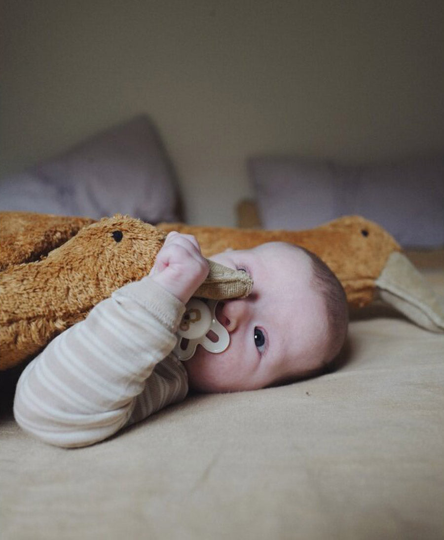 Gans (klein) Kuscheltier & Wärmekissen - Rostrot