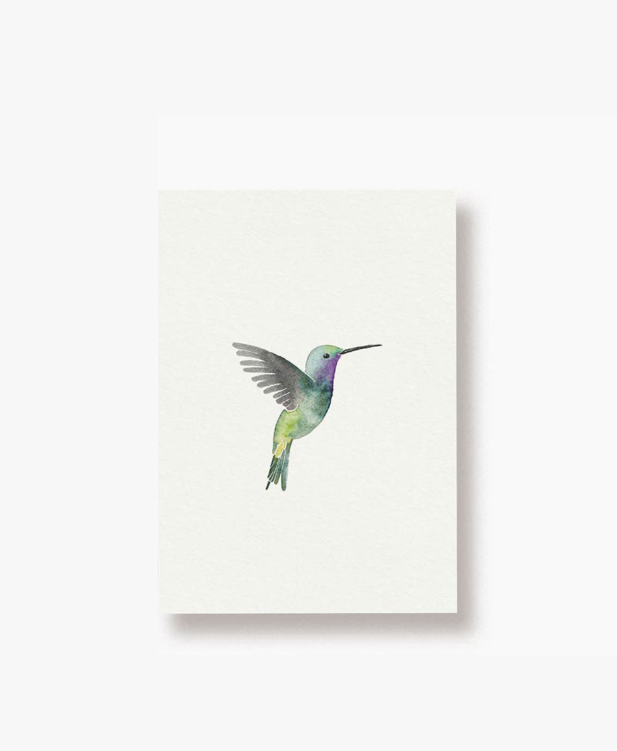 Postkarte "Kolibri"