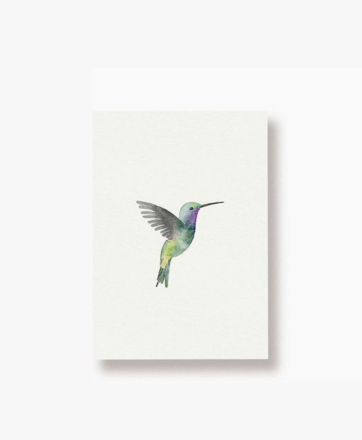 Postkarte "Kolibri"