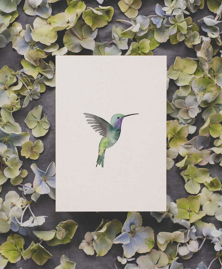 Postkarte "Kolibri"
