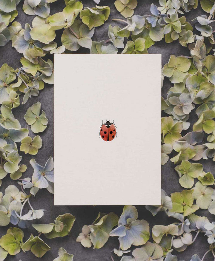 Postkarte "Marienkäfer"