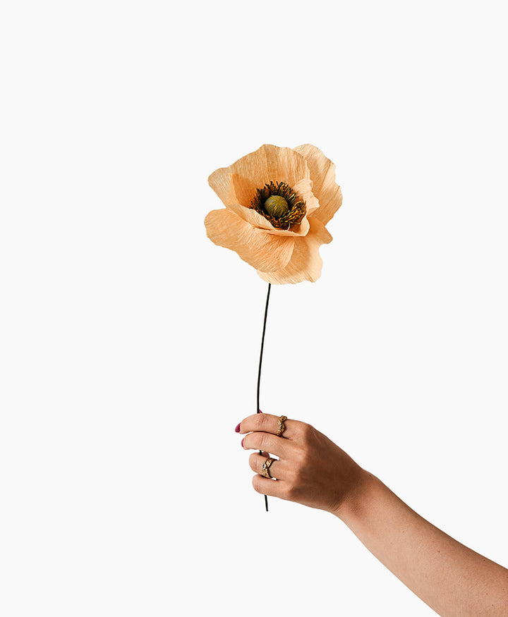 Papierblume Papaver - Soft Peach