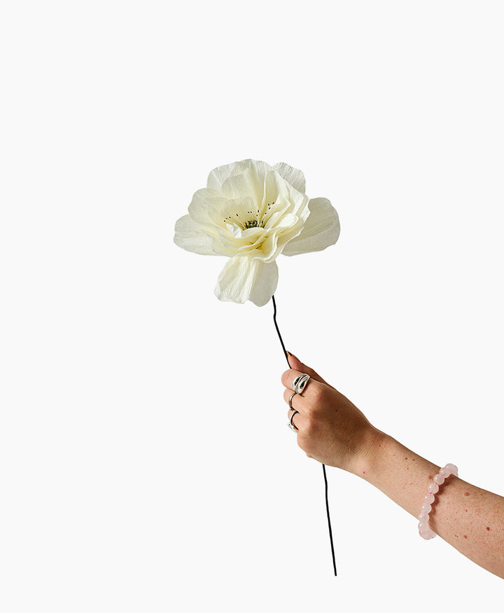 Papierblume La Paloma Grande - Sand