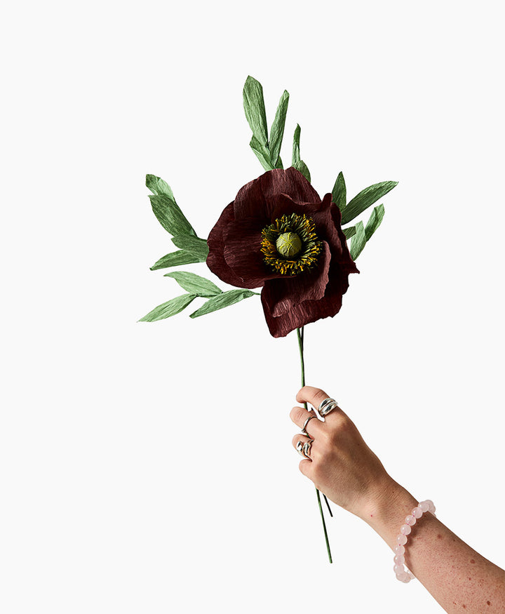 Papierblume Papaver - Rotbraun
