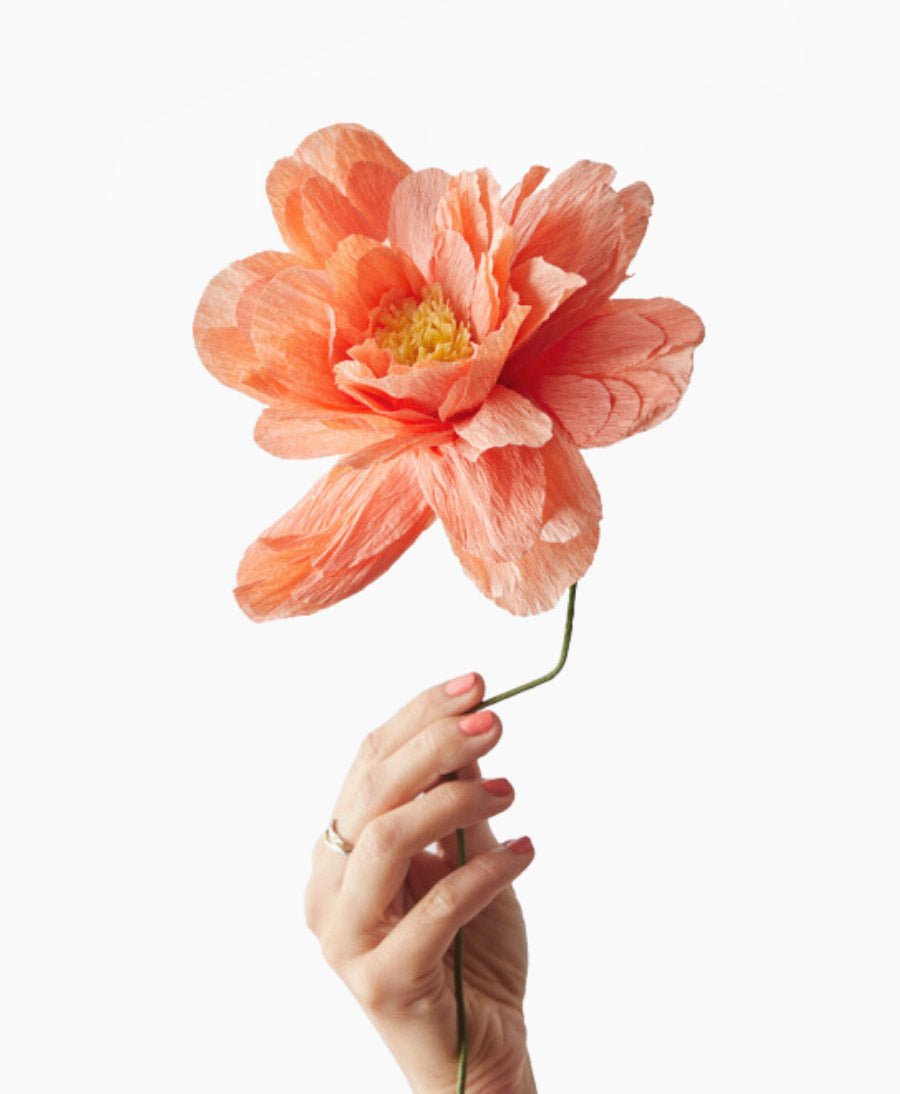 Papierblume Grosse Pfingstrose / Grand Peony Peach - Studio About - clomes