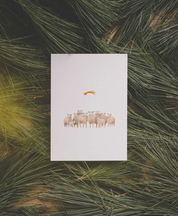 Postkarte "Schafe - Weihnachten" Weihnachtskarte