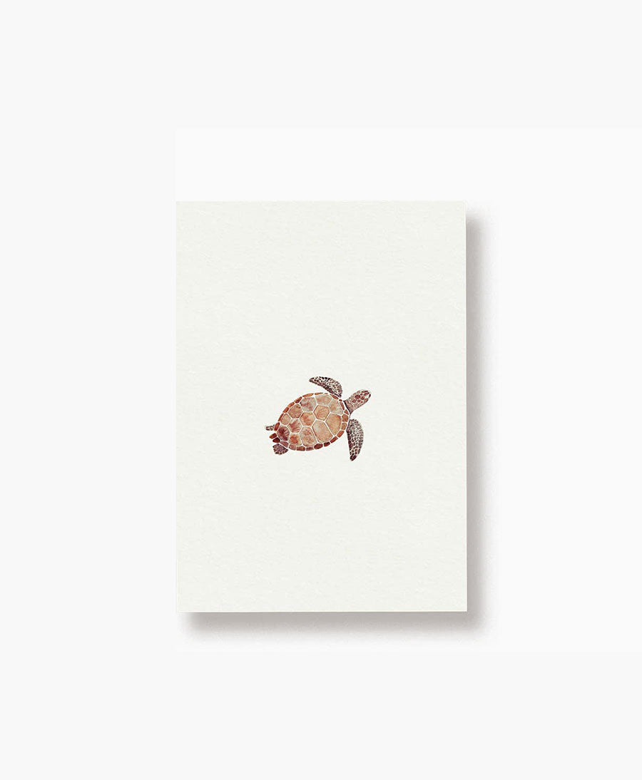 Postkarte "Schildkröte"