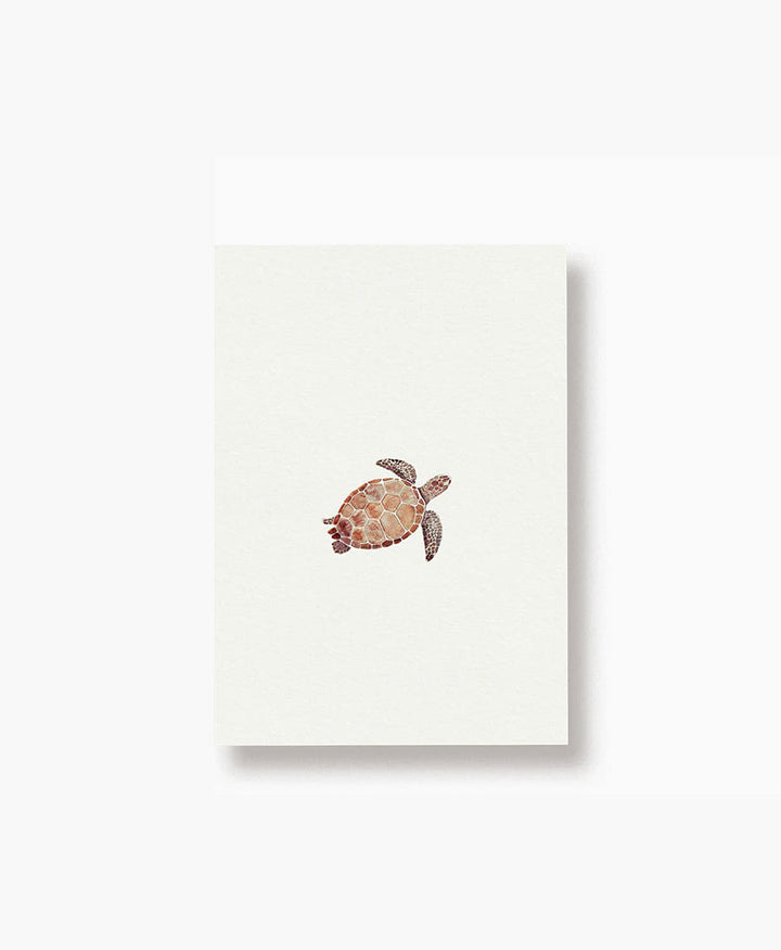 Postkarte "Schildkröte"