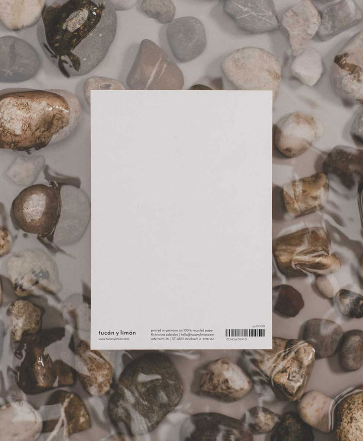 Postkarte "Schildkröte"