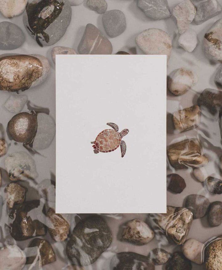 Postkarte "Schildkröte"