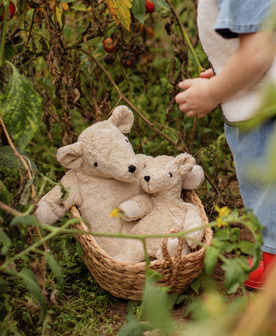 Bär (klein) Kuscheltier & Wärmekissen - Beige