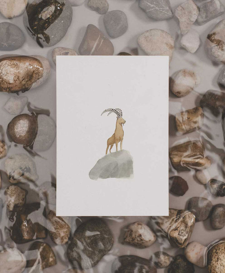 Postkarte "Steinbock"