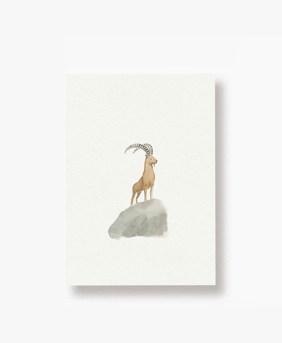 Postkarte "Steinbock"